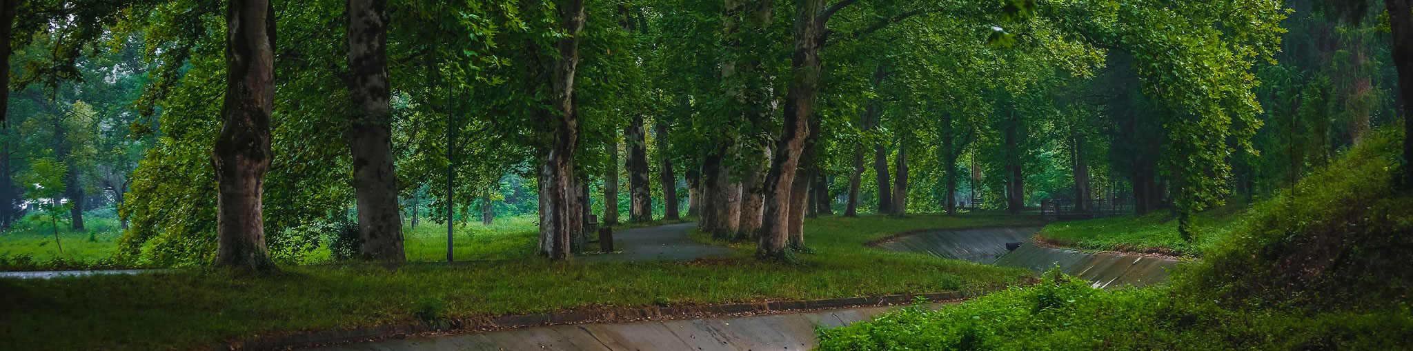 UI vs. UX: What’s the difference?